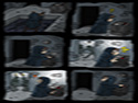 Thief maps